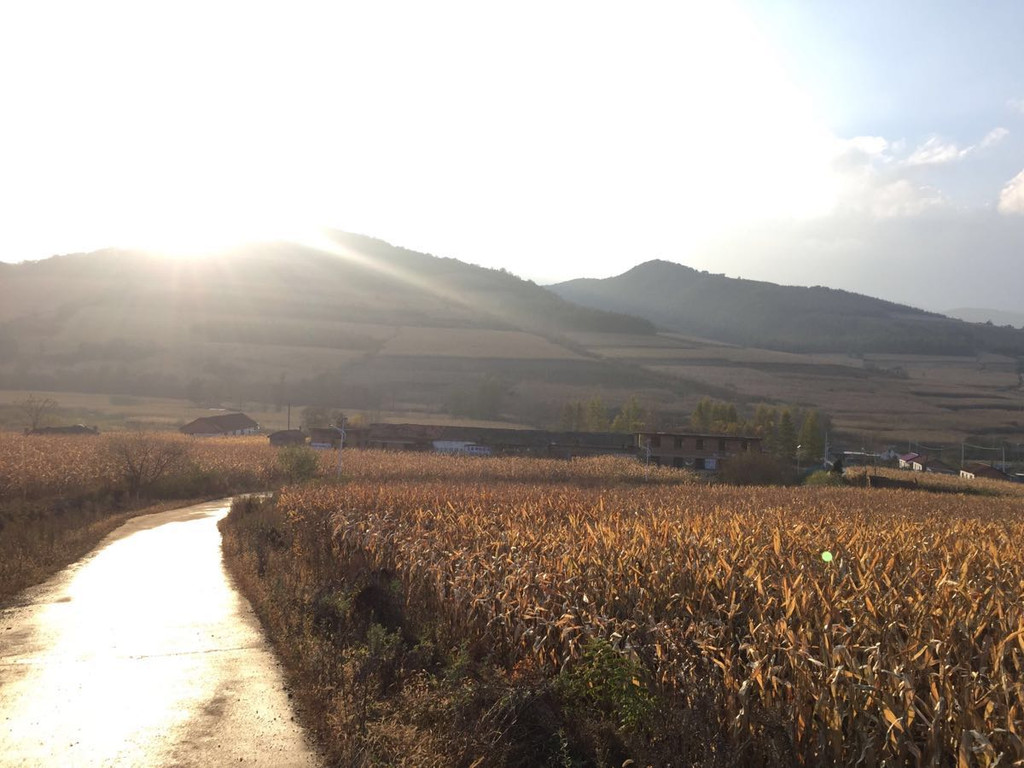 想走就走的东北自驾游(昌黎-长春-延吉-长白山-沈阳)