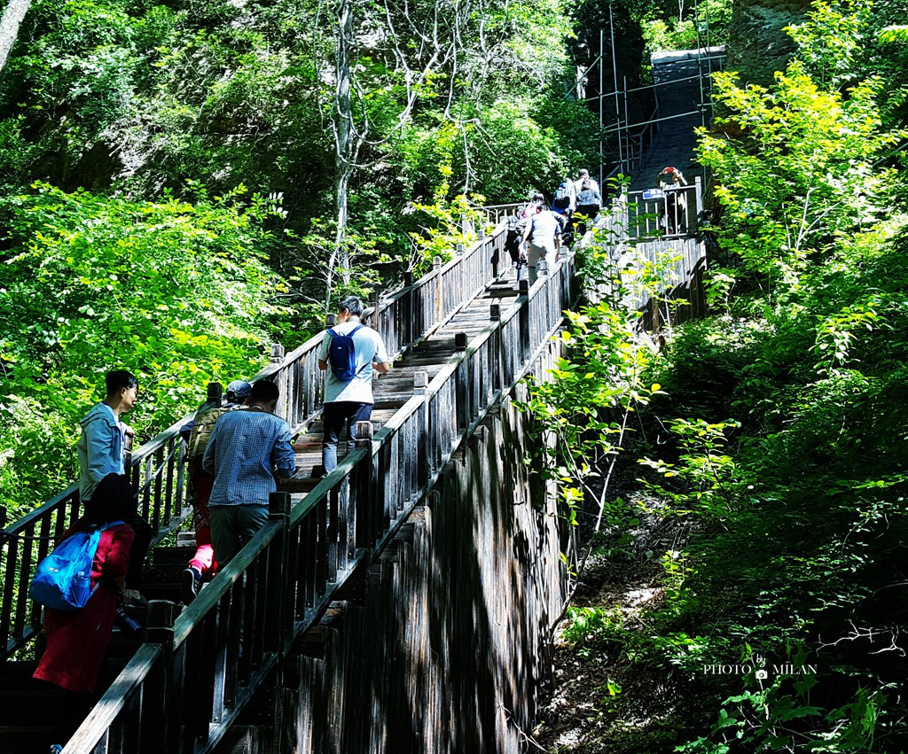 天女山森林公园