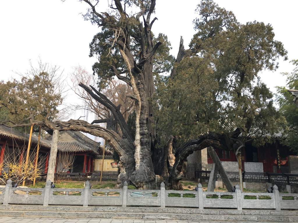 太室山 出嵩阳书院,走左侧