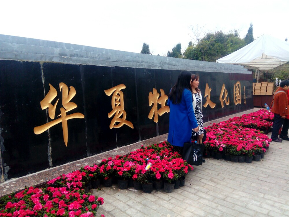 重庆垫江澄溪华夏牡丹园