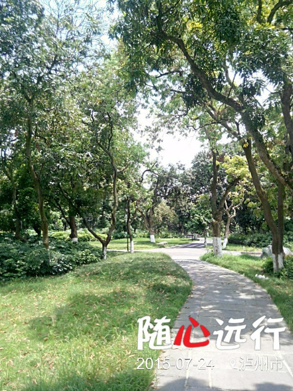 醉美酒城——张坝桂圆林风景区