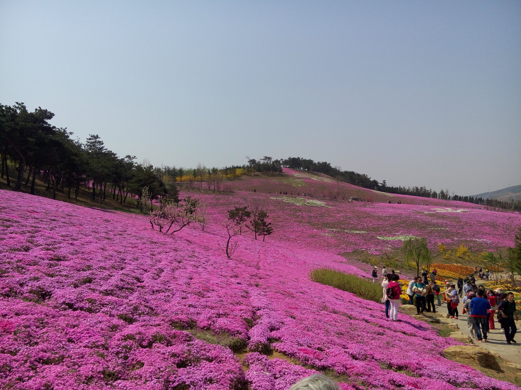 春游大连英歌石植物园 - 旅顺口区游记攻略【携程攻略