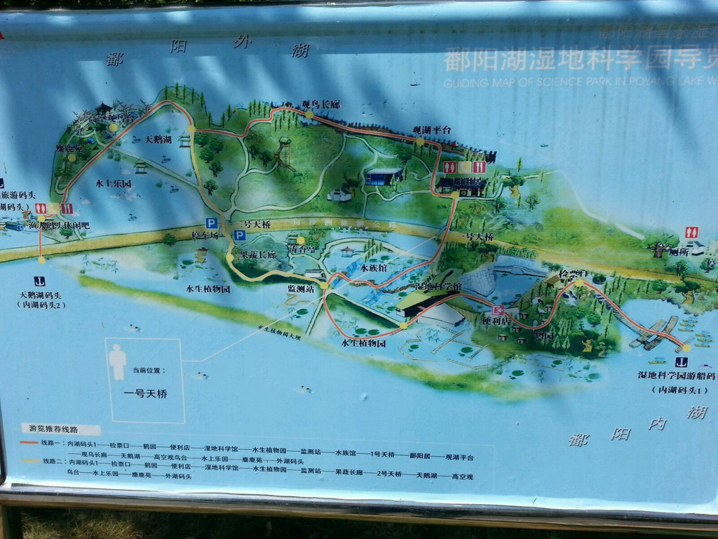 鄱阳湖湿地国家公园                        