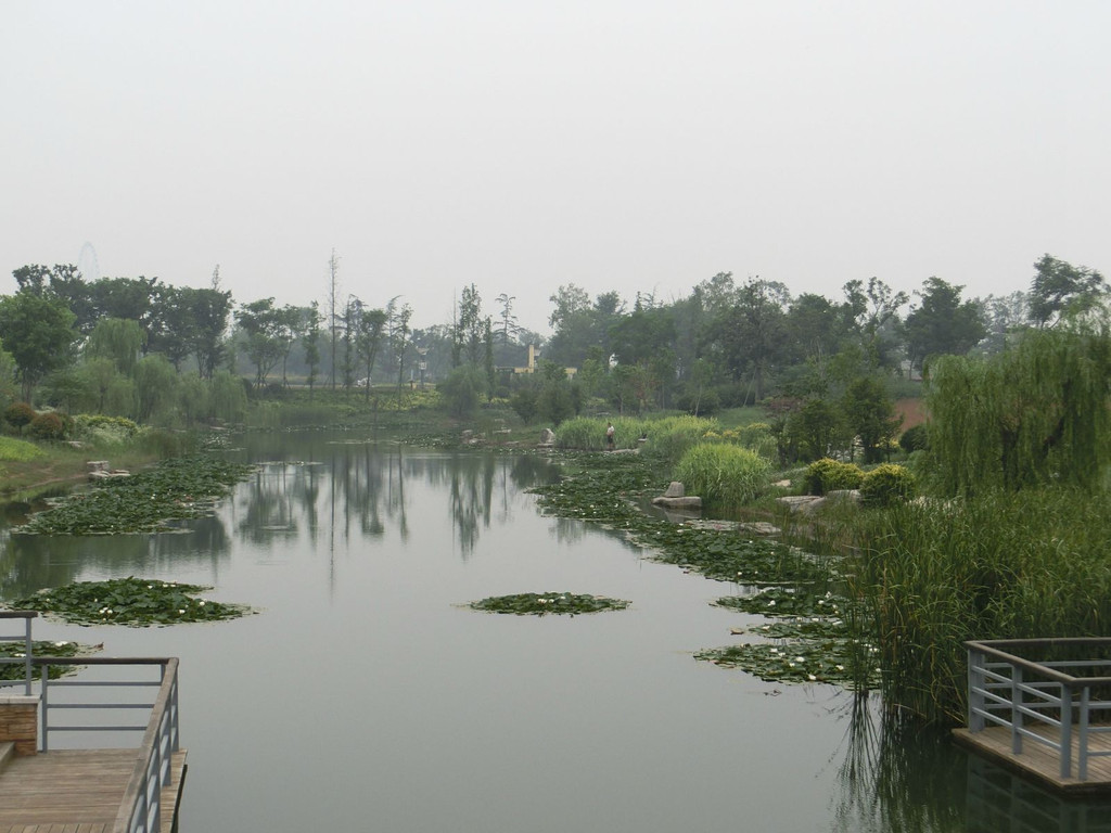 骆马湖湿地                                