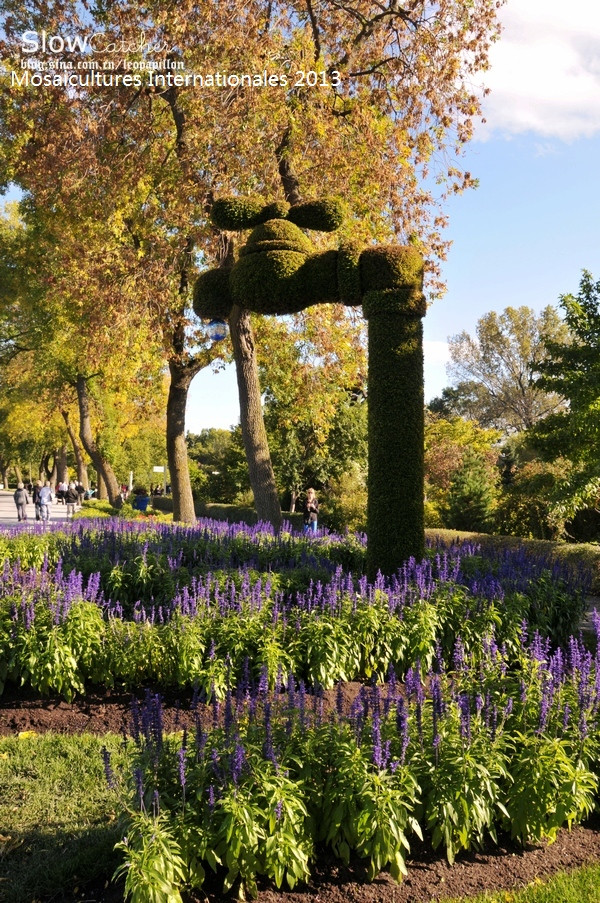 蒙特利尔植物园