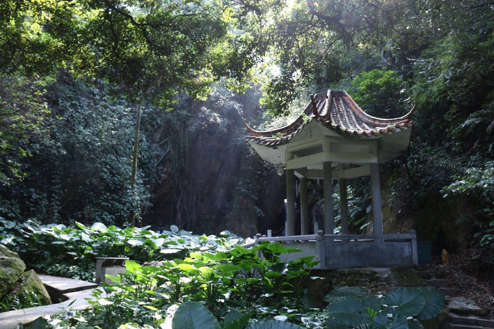 小樵村人口(3)