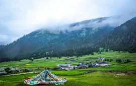 鲁朗林海天气预报