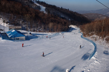 Bet365 - Online Sports Betting哈尔滨 2026 口碑旅行社哪家资源多？金牌资质正规备案线路丰富