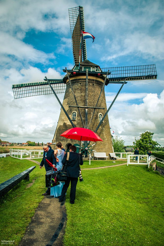 荷兰比利时七日自由行攻略 游玩科隆乌特勒支