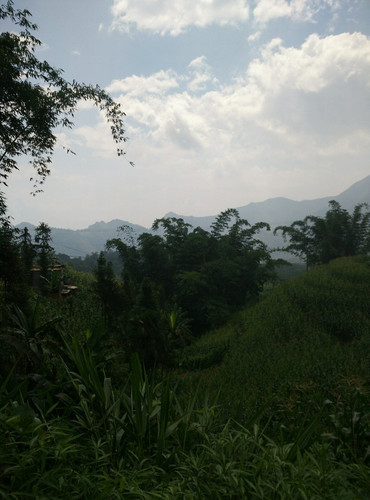 勐拉gdp_缅甸小勐拉(3)